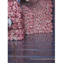 2013 new crop fresh red onion export india